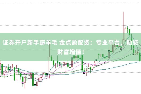 证券开户新手薅羊毛 金点盈配资：专业平台，助您财富增值！