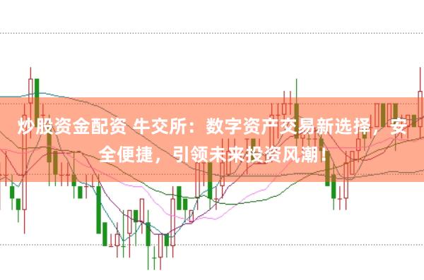 炒股资金配资 牛交所:数字资产交易新选择,安全便捷,引领未来投资风潮!